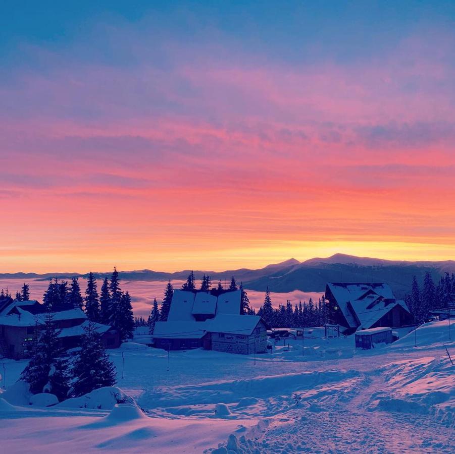 Hotel Adrenalin Drahobrat Dış mekan fotoğraf